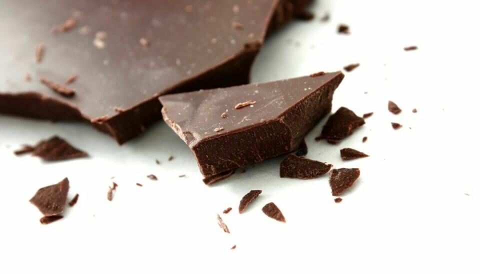 Ny forskning viser, at stoffet flavanol, der findes i kakao, muligvis kan forbedre hokummelsen hos ældre mennesker med svækket hukommelsesevne. Der skal dog store mængder til: Forsøgspersonerne, der viste tegn på forbedring af hukommelsesevnen fik flavanol, der ville svare til indholdet i et kilo mørkt chokolade. Foto: Colourbox