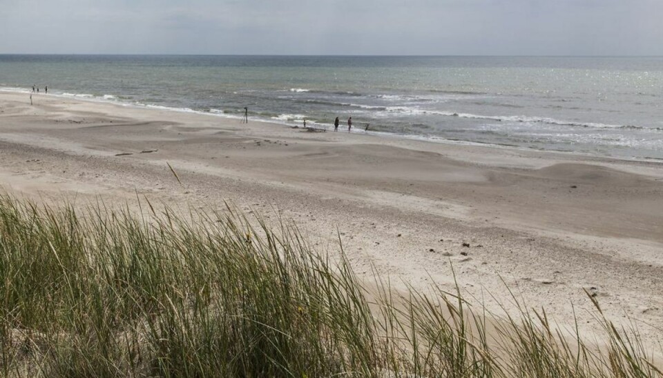 Pas på dette farlige område Stranden ved Skallingen syd for Ho og Blåvand. Foto: Scanpix