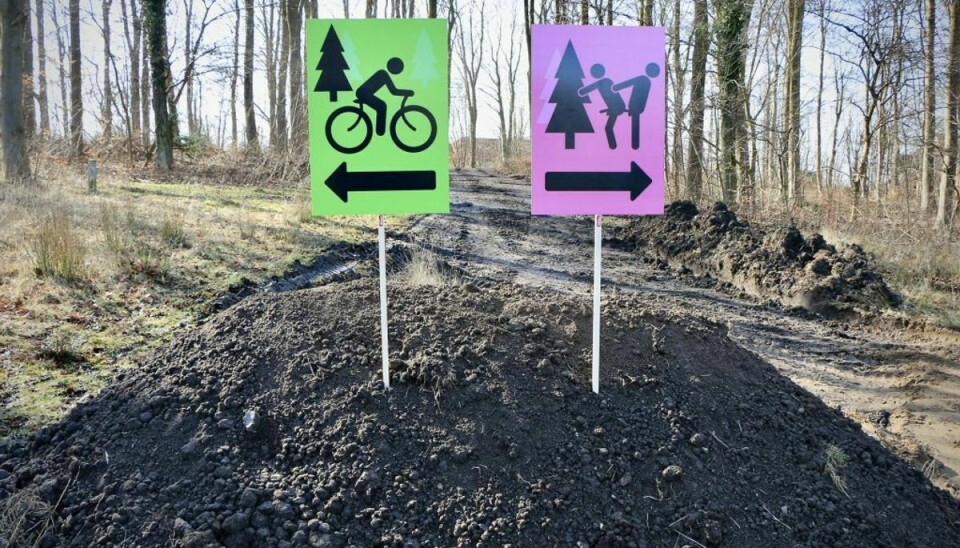 De to skilte er nu rejst i Staurby Skov. Foto: Claus Jessen